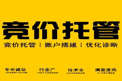 SEM代运营机构案例分析：优化策略与执行